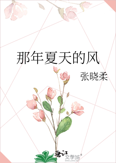 那年夏天的风
