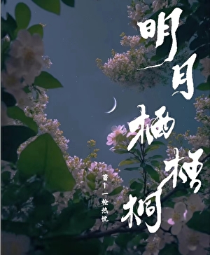明月栖梧桐